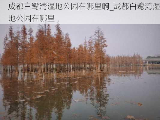 成都白鹭湾湿地公园在哪里啊_成都白鹭湾湿地公园在哪里