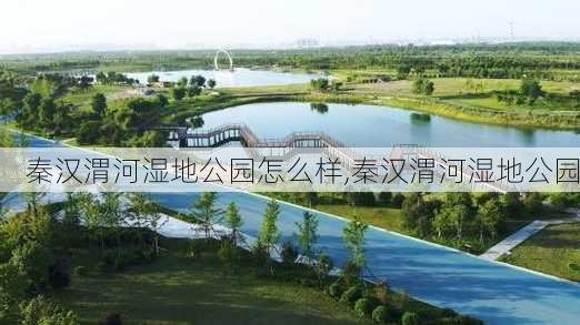 秦汉渭河湿地公园怎么样,秦汉渭河湿地公园