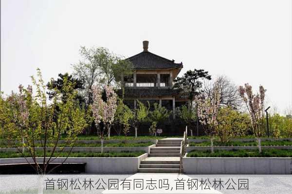 首钢松林公园有同志吗,首钢松林公园