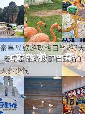 秦皇岛旅游攻略自驾游3天_秦皇岛旅游攻略自驾游3天多少钱