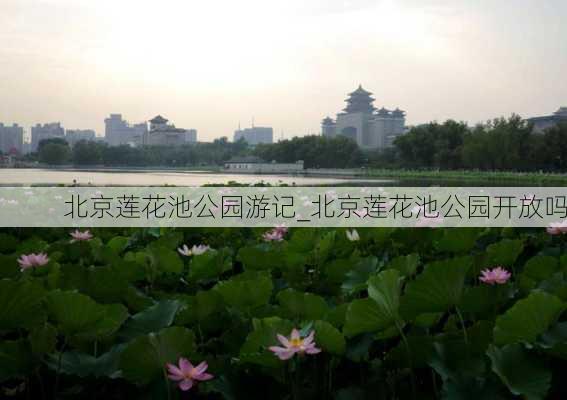 北京莲花池公园游记_北京莲花池公园开放吗