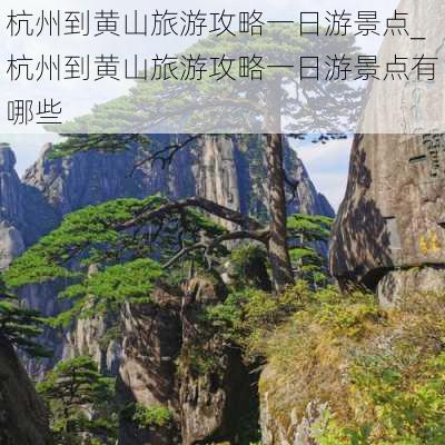 杭州到黄山旅游攻略一日游景点_杭州到黄山旅游攻略一日游景点有哪些