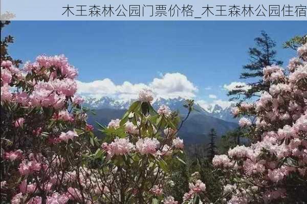 木王森林公园门票价格_木王森林公园住宿