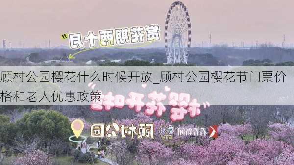 顾村公园樱花什么时候开放_顾村公园樱花节门票价格和老人优惠政策