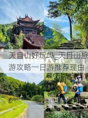 天目山好玩吗_天目山旅游攻略一日游推荐理由