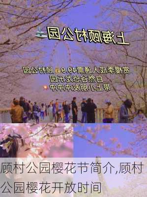 顾村公园樱花节简介,顾村公园樱花开放时间