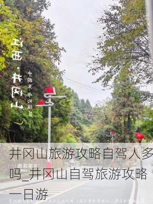 井冈山旅游攻略自驾人多吗_井冈山自驾旅游攻略一日游