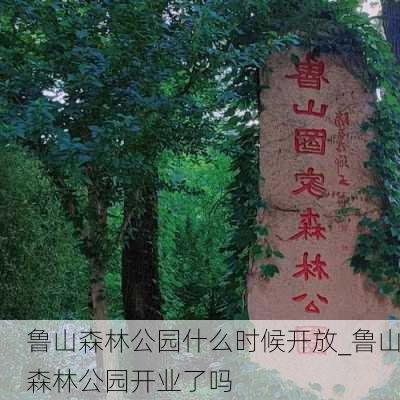 鲁山森林公园什么时候开放_鲁山森林公园开业了吗