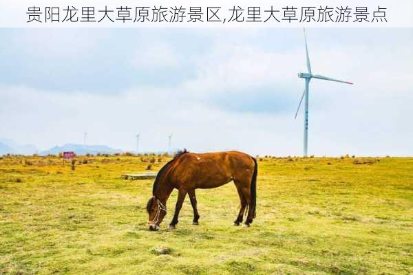 贵阳龙里大草原旅游景区,龙里大草原旅游景点