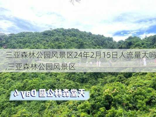 三亚森林公园风景区24年2月15日人流量大吗,三亚森林公园风景区