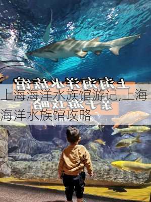 上海海洋水族馆游记,上海海洋水族馆攻略