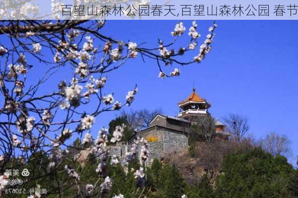 百望山森林公园春天,百望山森林公园 春节