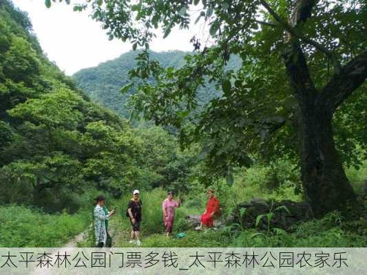 太平森林公园门票多钱_太平森林公园农家乐