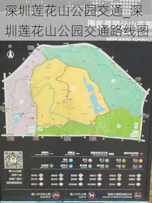 深圳莲花山公园交通_深圳莲花山公园交通路线图