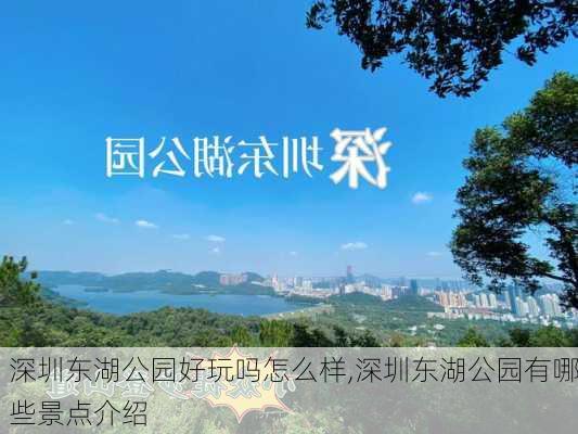 深圳东湖公园好玩吗怎么样,深圳东湖公园有哪些景点介绍