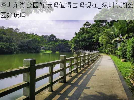 深圳东湖公园好玩吗值得去吗现在_深圳东湖公园好玩吗