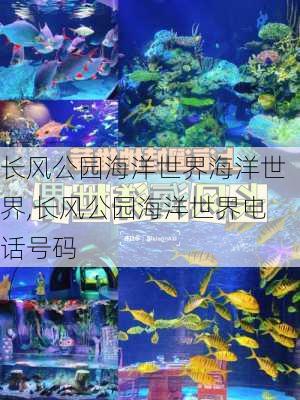 长风公园海洋世界海洋世界,长风公园海洋世界电话号码