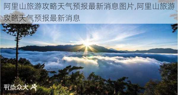 阿里山旅游攻略天气预报最新消息图片,阿里山旅游攻略天气预报最新消息