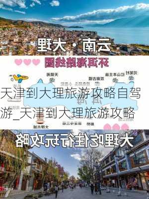 天津到大理旅游攻略自驾游_天津到大理旅游攻略