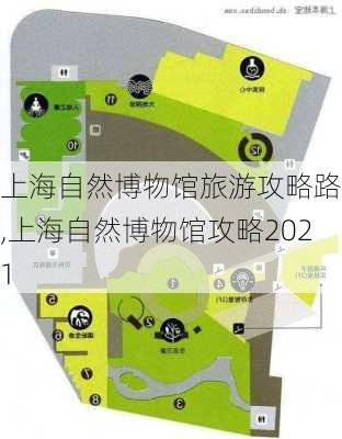 上海自然博物馆旅游攻略路线,上海自然博物馆攻略2021