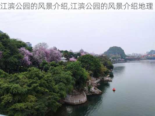 江滨公园的风景介绍,江滨公园的风景介绍地理