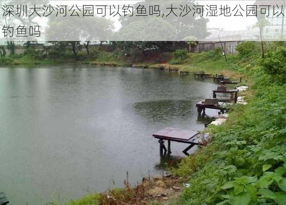 深圳大沙河公园可以钓鱼吗,大沙河湿地公园可以钓鱼吗