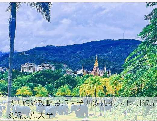 昆明旅游攻略景点大全西双版纳,去昆明旅游攻略景点大全