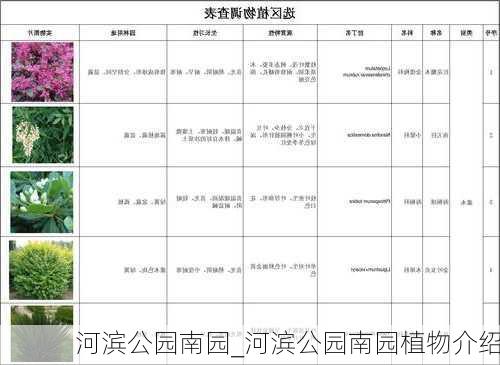 河滨公园南园_河滨公园南园植物介绍