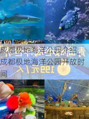 成都极地海洋公园介绍_成都极地海洋公园开放时间