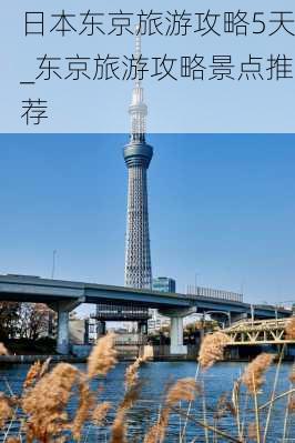 日本东京旅游攻略5天_东京旅游攻略景点推荐