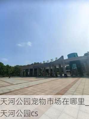 天河公园宠物市场在哪里_天河公园cs