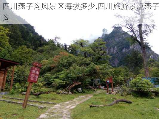 四川燕子沟风景区海拔多少,四川旅游景点燕子沟