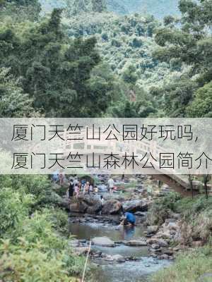 厦门天竺山公园好玩吗,厦门天竺山森林公园简介