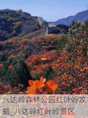 八达岭森林公园红叶岭攻略_八达岭红叶岭景区