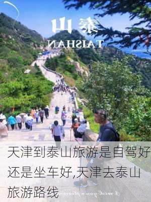 天津到泰山旅游是自驾好还是坐车好,天津去泰山旅游路线