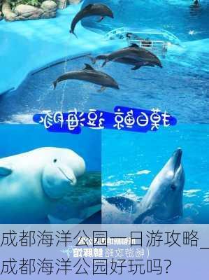 成都海洋公园一日游攻略_成都海洋公园好玩吗?