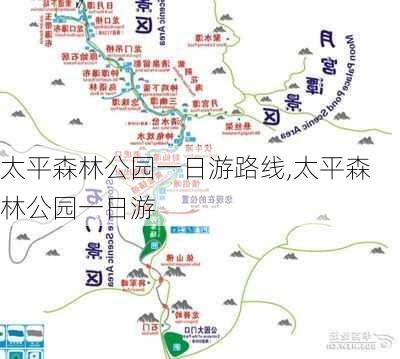 太平森林公园一日游路线,太平森林公园一日游