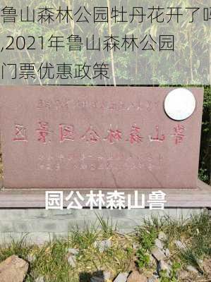 鲁山森林公园牡丹花开了吗,2021年鲁山森林公园门票优惠政策