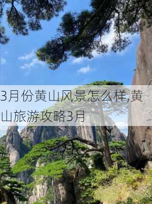 3月份黄山风景怎么样,黄山旅游攻略3月