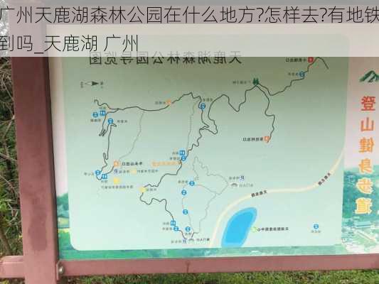 广州天鹿湖森林公园在什么地方?怎样去?有地铁到吗_天鹿湖 广州