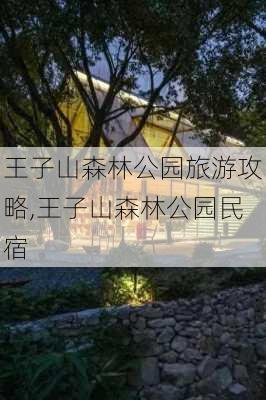 王子山森林公园旅游攻略,王子山森林公园民宿