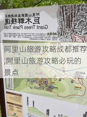 阿里山旅游攻略成都推荐,阿里山旅游攻略必玩的景点