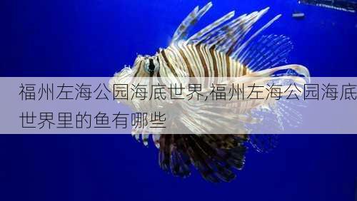 福州左海公园海底世界,福州左海公园海底世界里的鱼有哪些