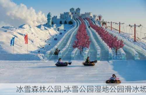 冰雪森林公园,冰雪公园湿地公园滑冰场