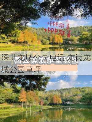 深圳龙城公园电话,龙岗龙城公园草坪