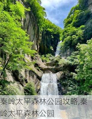 秦岭太平森林公园攻略,秦岭太平森林公园