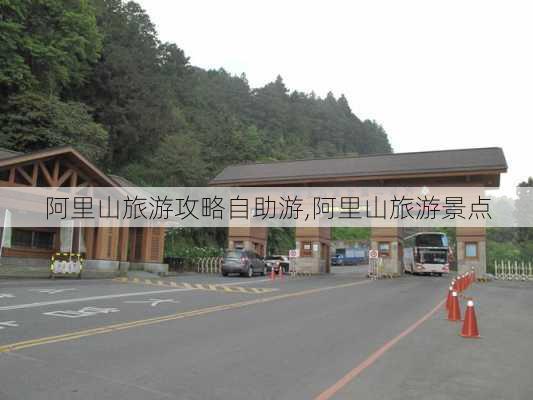 阿里山旅游攻略自助游,阿里山旅游景点