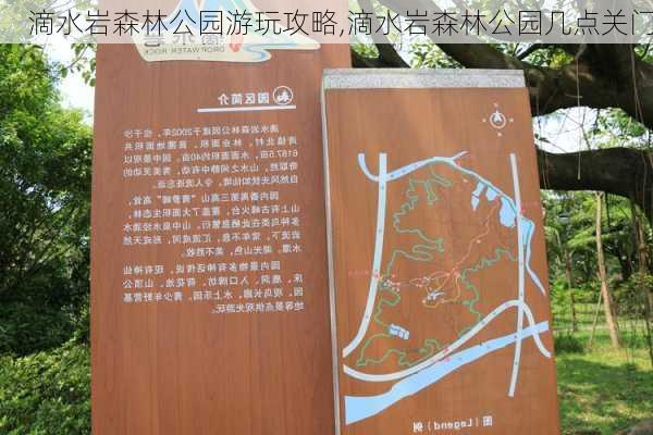 滴水岩森林公园游玩攻略,滴水岩森林公园几点关门