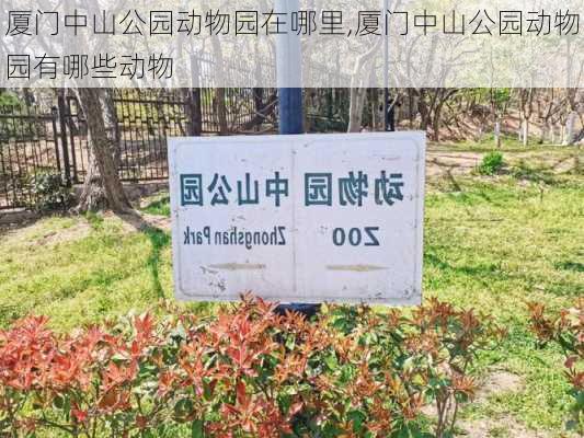 厦门中山公园动物园在哪里,厦门中山公园动物园有哪些动物