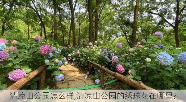 清凉山公园怎么样,清凉山公园的绣球花在哪里?